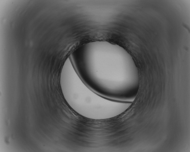 X0000097790384200803070941