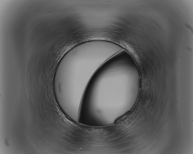 X0000097790385200803070940