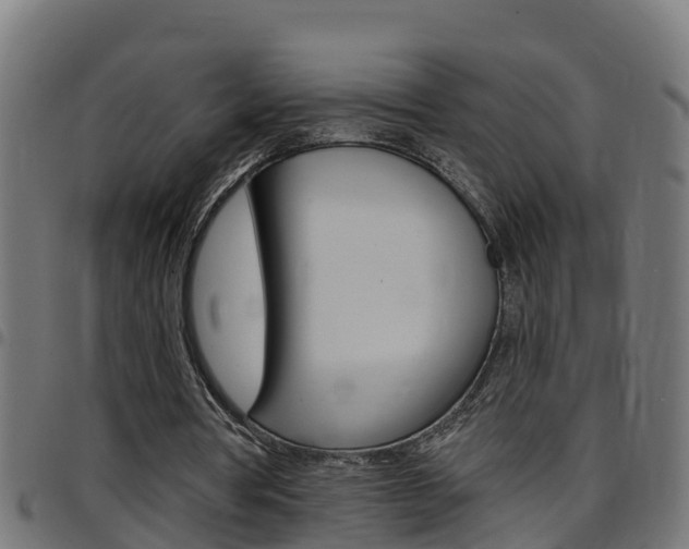 X0000097790386200803070940