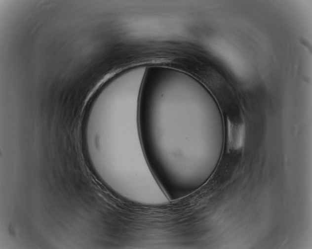 X0000097790387200803070940