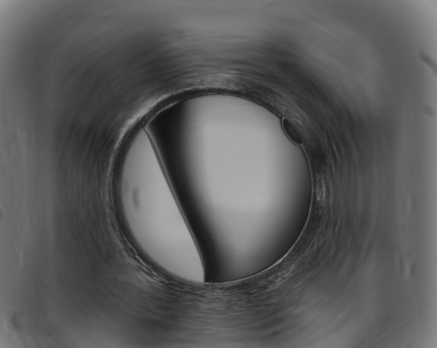 X0000097790388200803070940