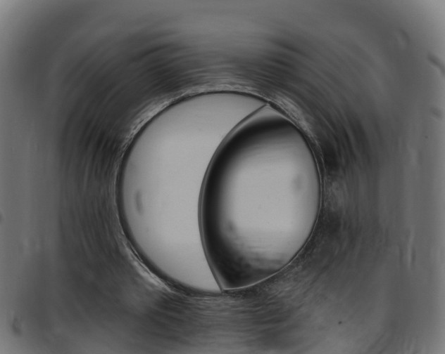 X0000097790389200803070940