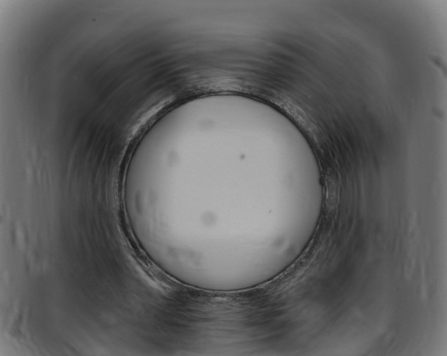 X0000097790390200803070940