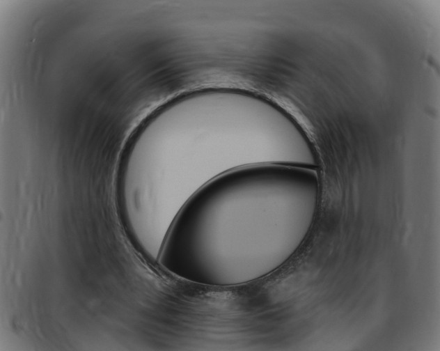 X0000097790391200803070940