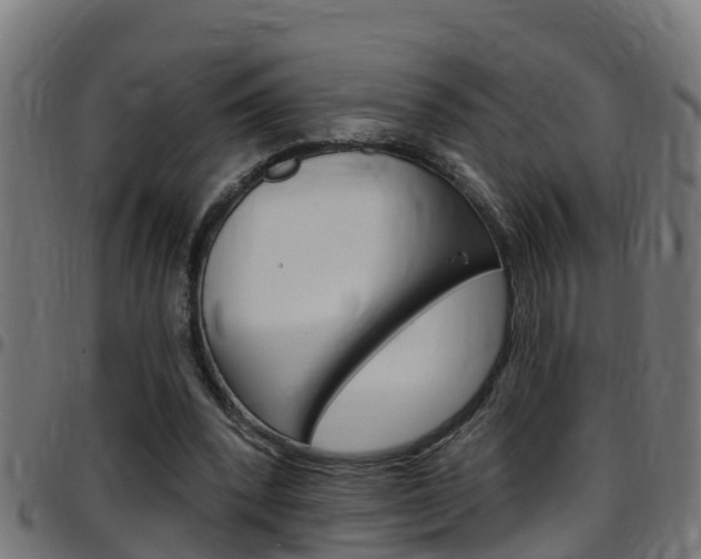X0000097790392200803070940