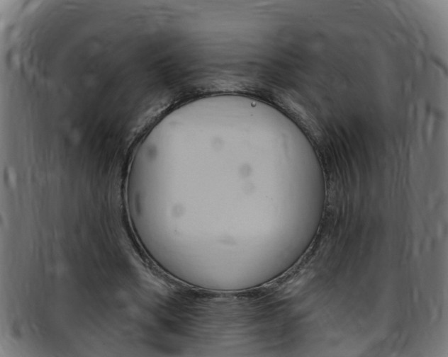 X0000097790394200803070940