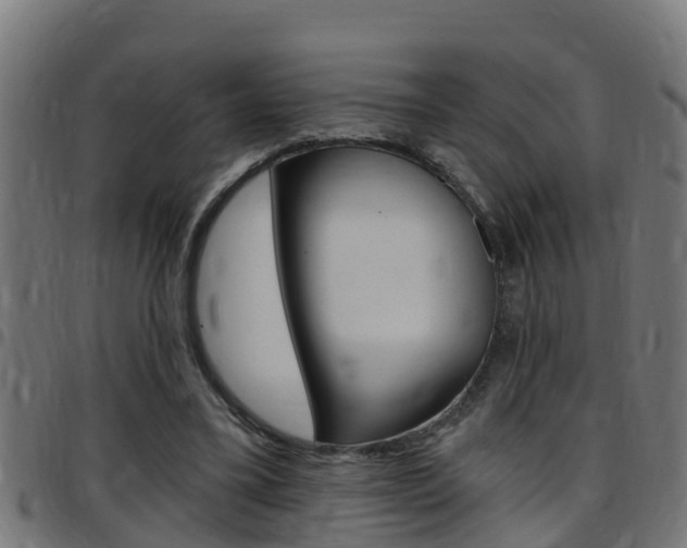 X0000097790395200803070940