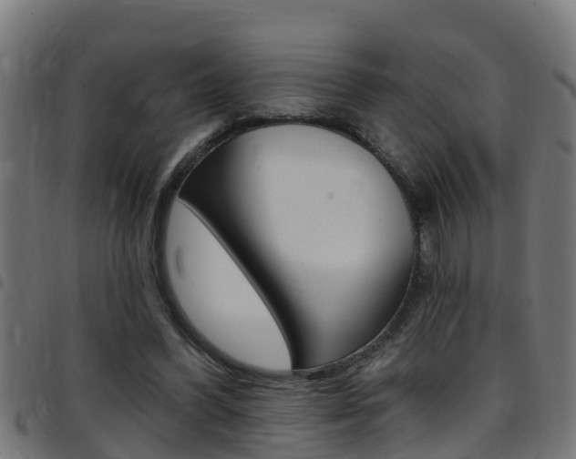 X0000097790396200803070940
