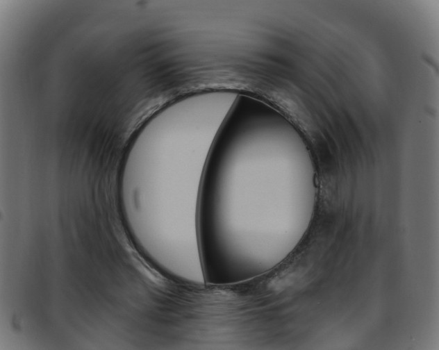 X0000097790397200803070940