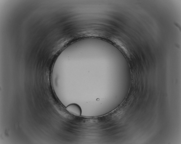 X0000097790398200803070940