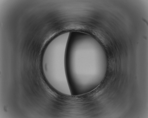 X0000097790399200803070940