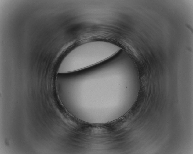X0000097790400200803070940