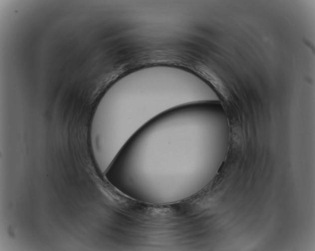 X0000097790401200803070940