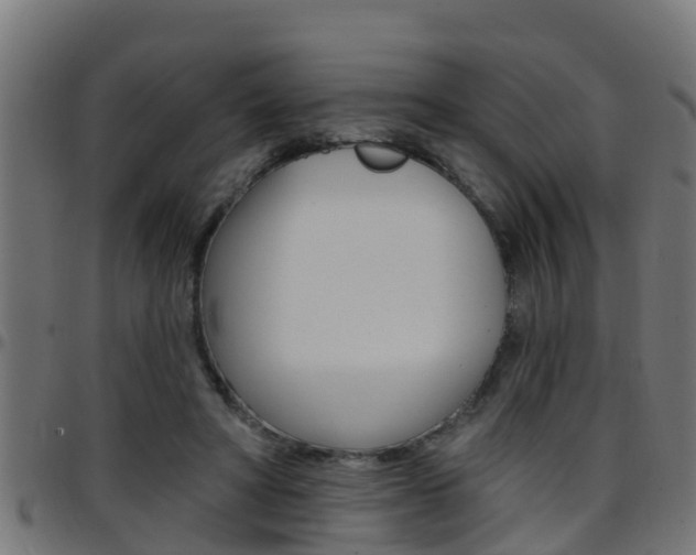 X0000097790402200803070940