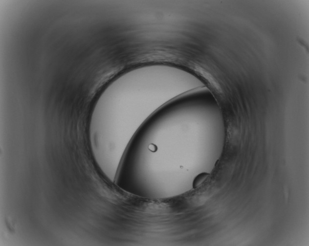 X0000097790403200803070940