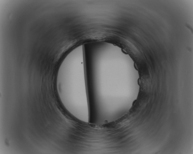 X0000097790404200803070940
