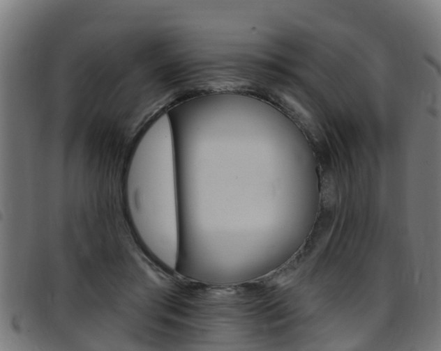 X0000097790405200803070940