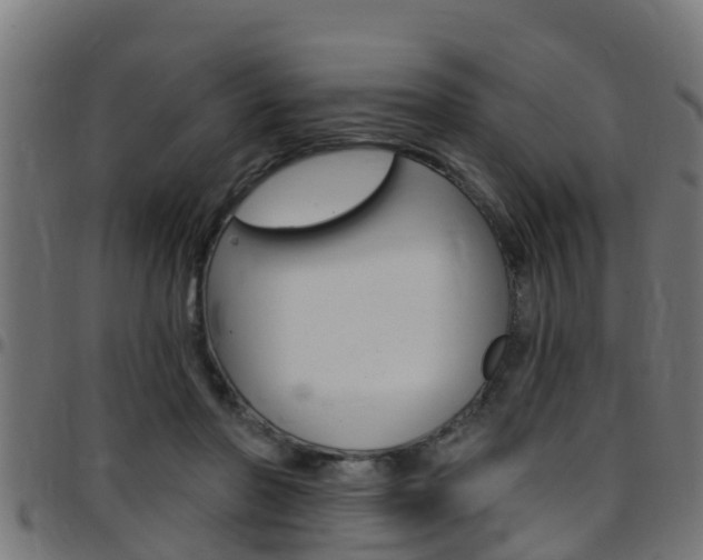 X0000097790406200803070940