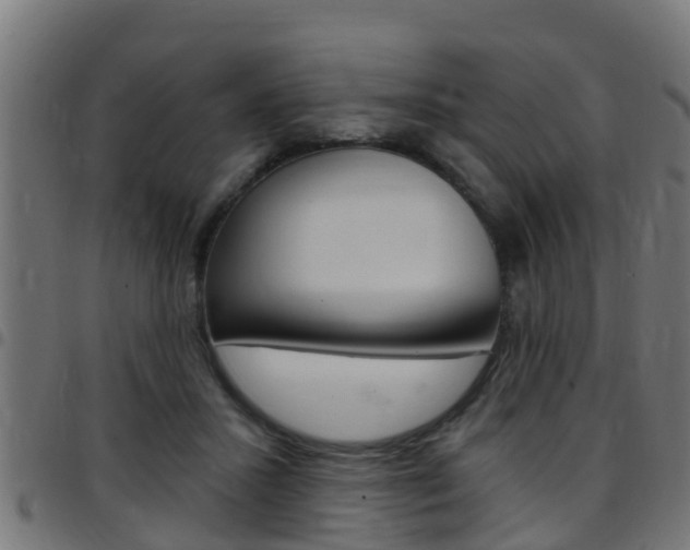 X0000097790407200803070940