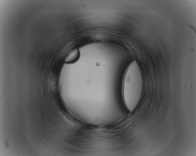 X0000097790408200803070940