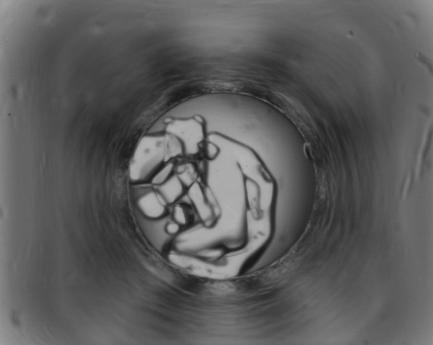 X0000097790409200803070940