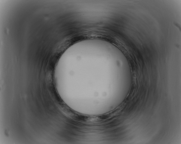 X0000097790410200803070940