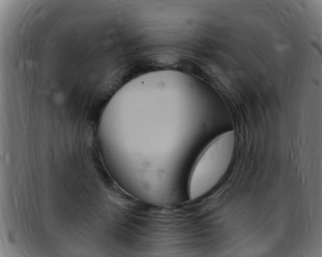 X0000097790412200803070940