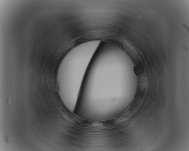 X0000097790413200803070940