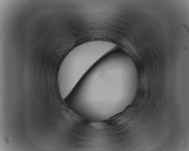 X0000097790417200803070940
