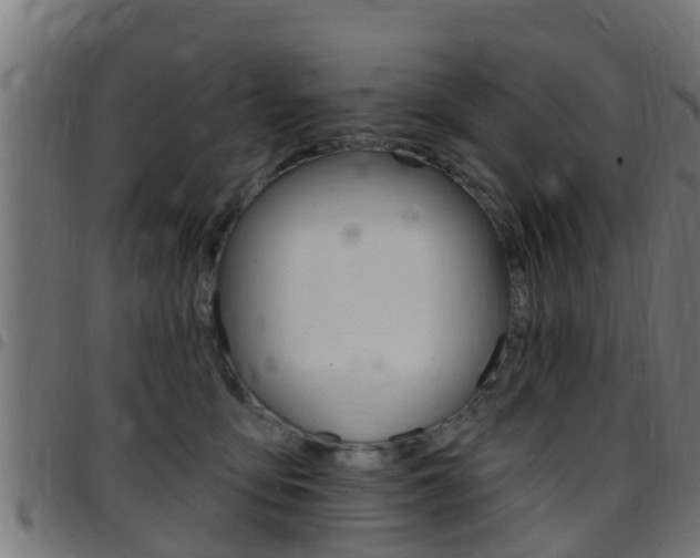 X0000097790419200803070940