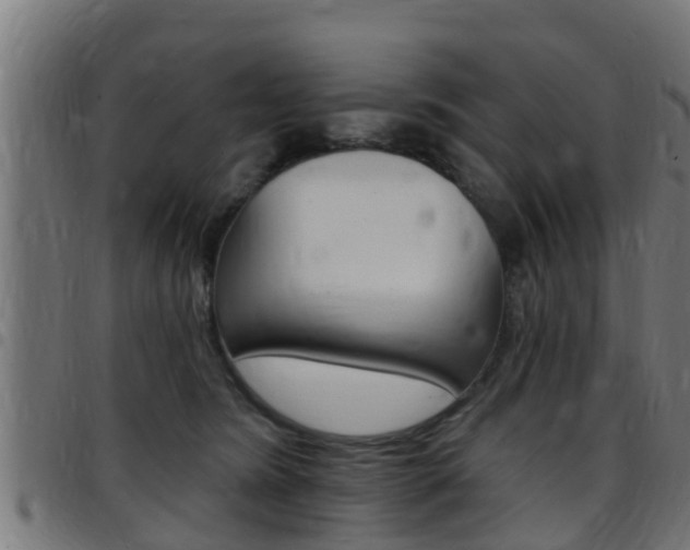 X0000097790420200803070940