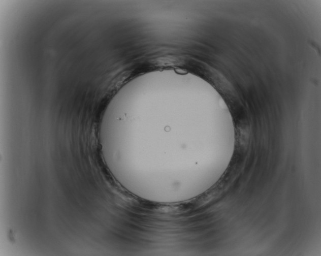 X0000097790422200803070939