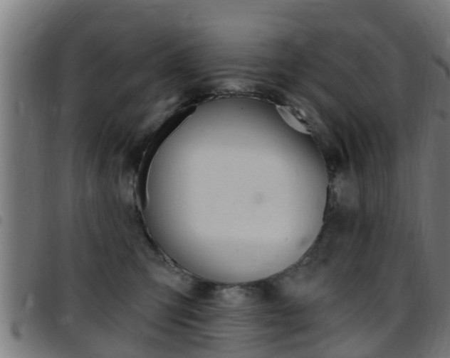 X0000097790423200803070939