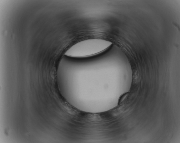 X0000097790424200803070939