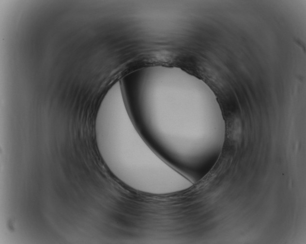 X0000097790425200803070939