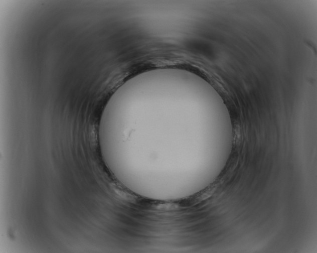 X0000097790426200803070939