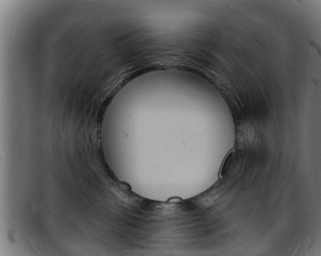 X0000097790428200803070939