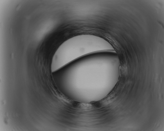 X0000097790429200803070939
