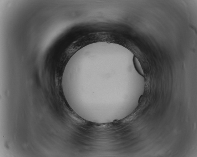 X0000097790430200803070939