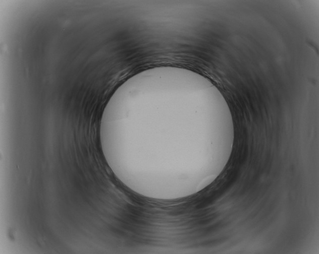 X0000097790431200803070939