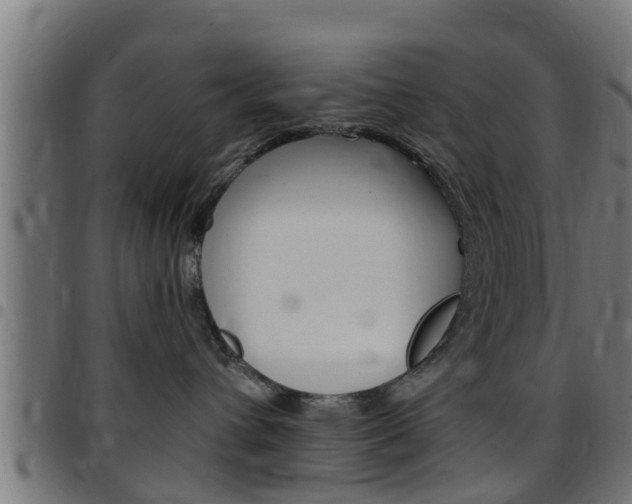 X0000097790432200803070939