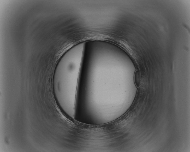X0000097790433200803070939