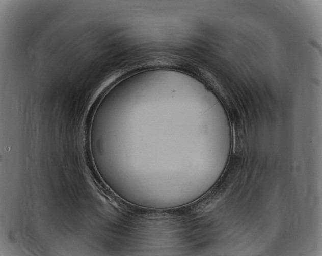 X0000097790435200803070939