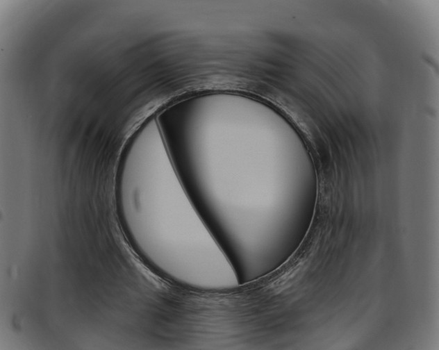 X0000097790437200803070939