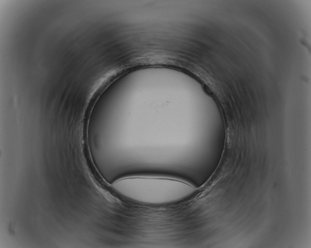 X0000097790438200803070939