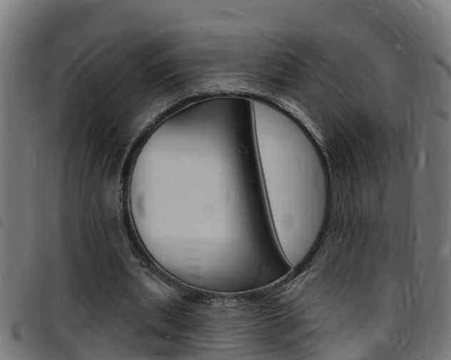 X0000097790439200803070939
