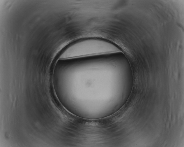 X0000097790440200803070939