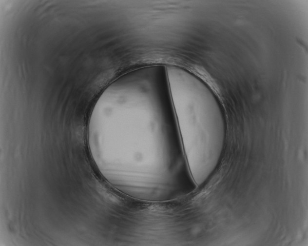 X0000097790441200803070939