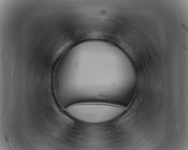X0000097790442200803070939