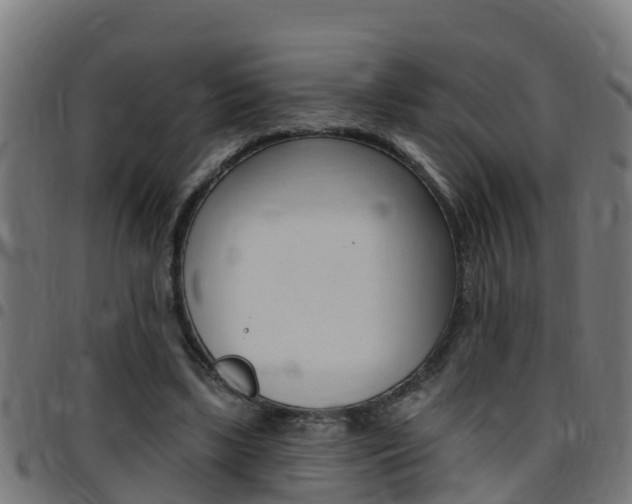 X0000097790443200803070939